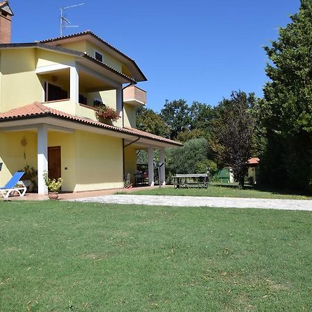 La Casa Nell'Oliveto Bed & Breakfast Acquasparta Zewnętrze zdjęcie