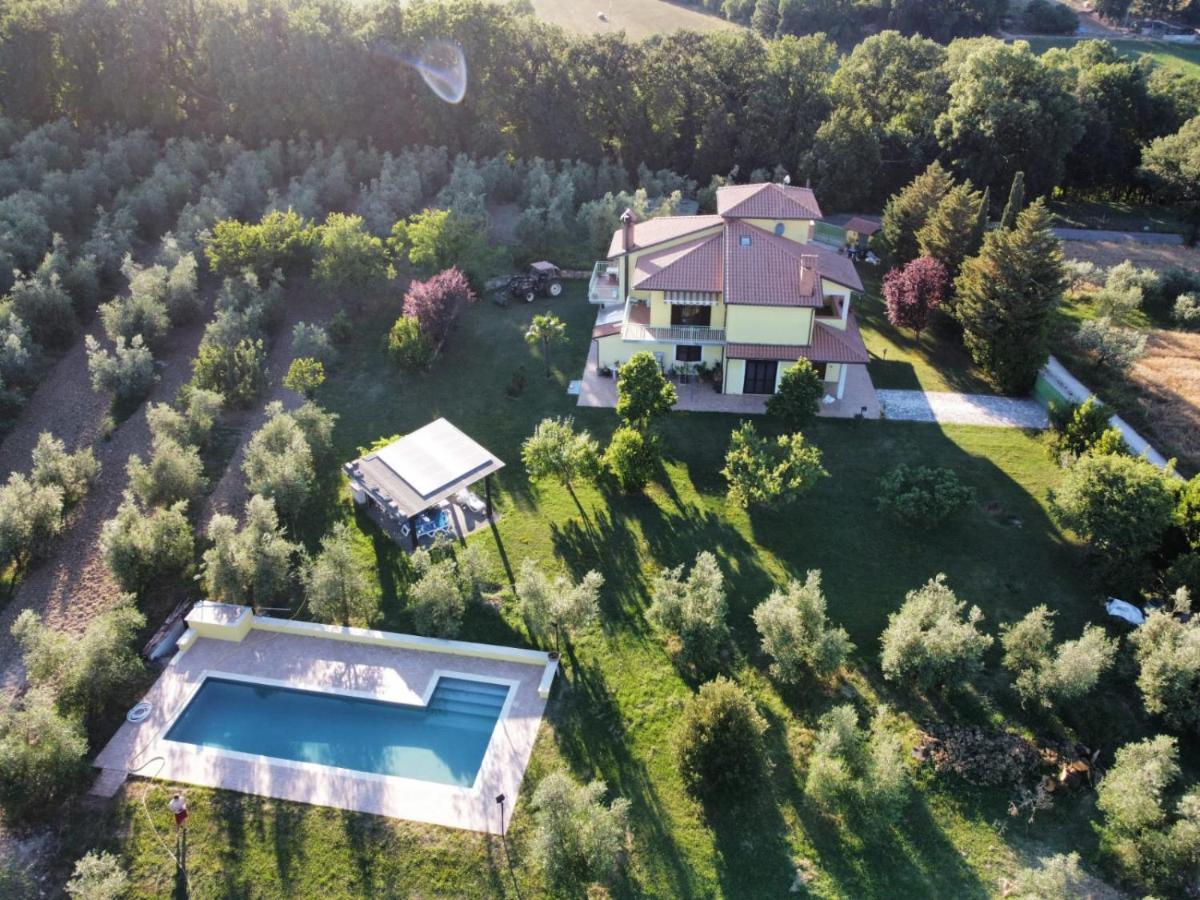 La Casa Nell'Oliveto Bed & Breakfast Acquasparta Zewnętrze zdjęcie