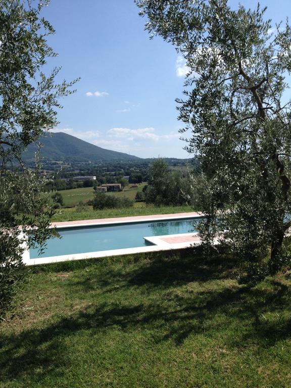 La Casa Nell'Oliveto Bed & Breakfast Acquasparta Zewnętrze zdjęcie