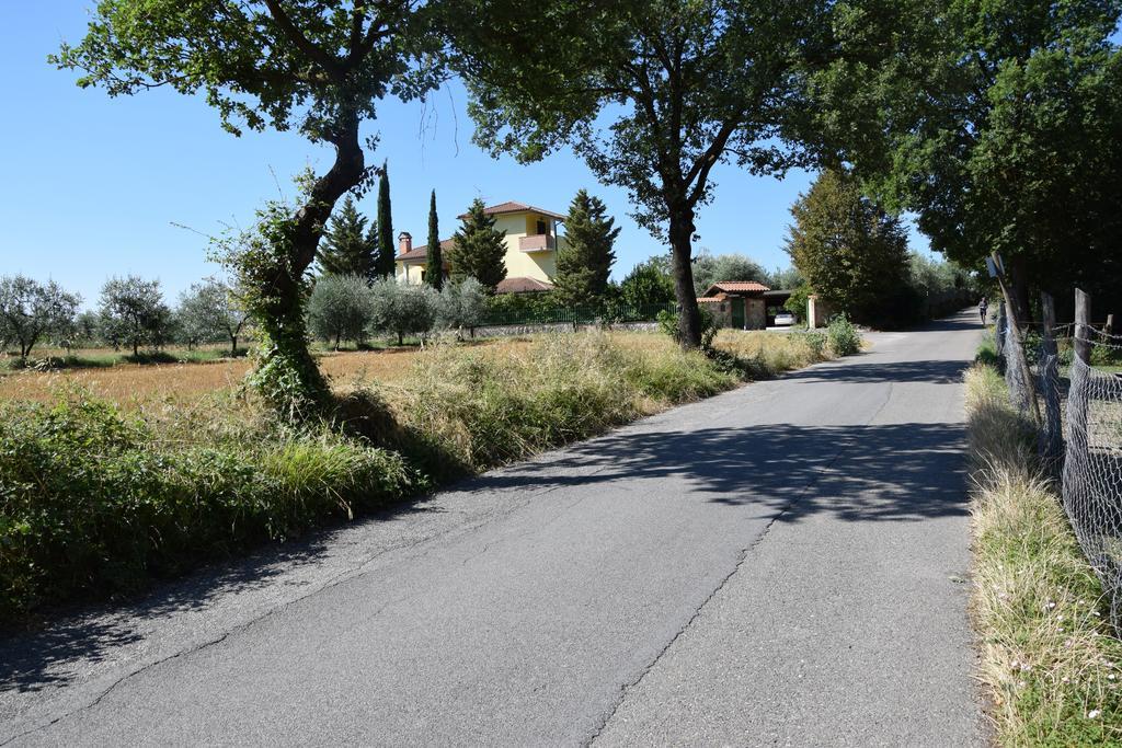 La Casa Nell'Oliveto Bed & Breakfast Acquasparta Zewnętrze zdjęcie